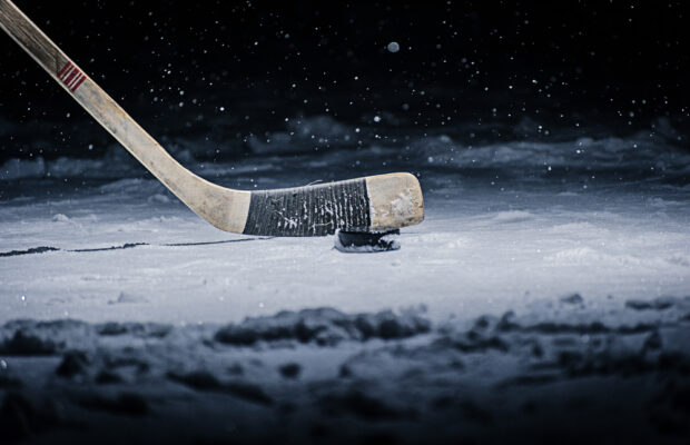 AHL Hershey Bears Make Teddy Bear History