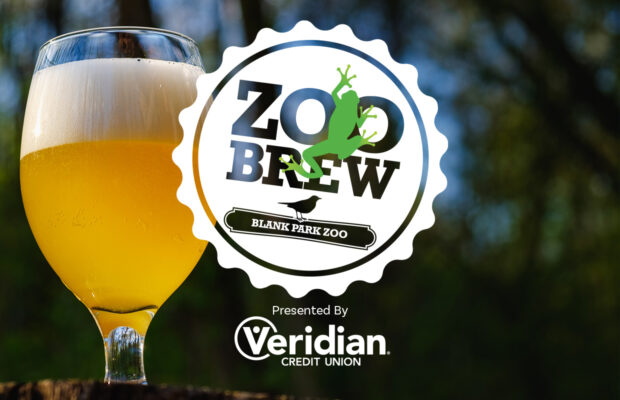 Zoo Brew with LAZER 103.3