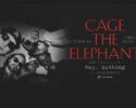 Cage the Elephant
